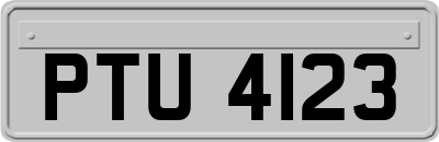 PTU4123