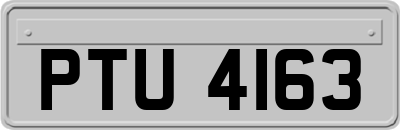 PTU4163
