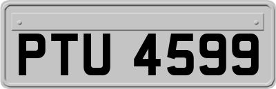 PTU4599