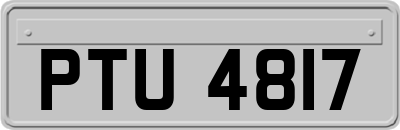 PTU4817