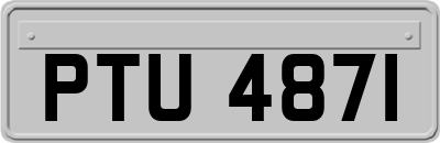 PTU4871