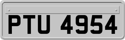 PTU4954