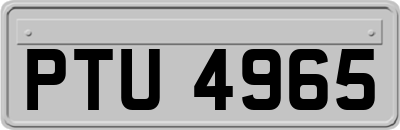 PTU4965