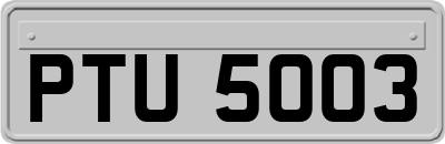 PTU5003