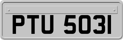 PTU5031