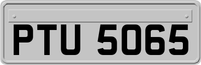 PTU5065