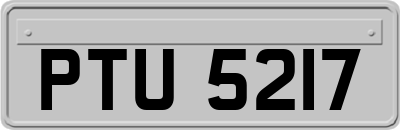 PTU5217