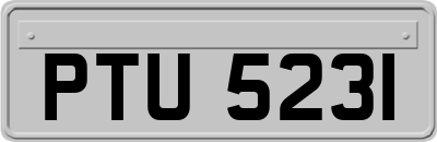 PTU5231