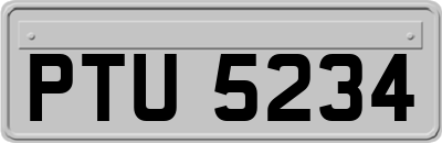 PTU5234