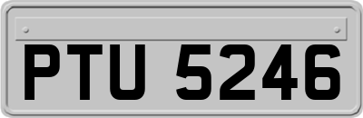 PTU5246