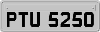 PTU5250