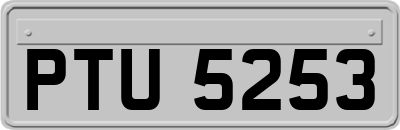 PTU5253