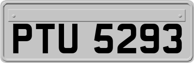 PTU5293