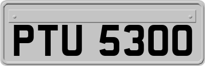 PTU5300