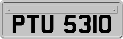 PTU5310