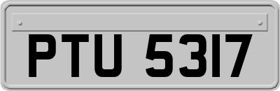 PTU5317