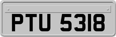 PTU5318