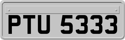 PTU5333