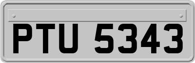 PTU5343