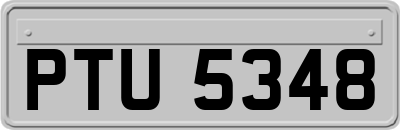 PTU5348