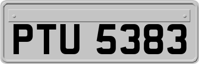 PTU5383