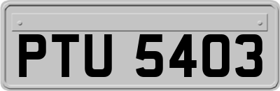 PTU5403