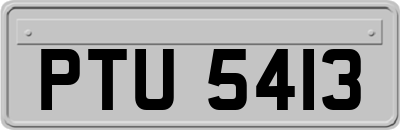 PTU5413