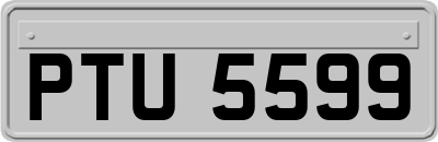 PTU5599