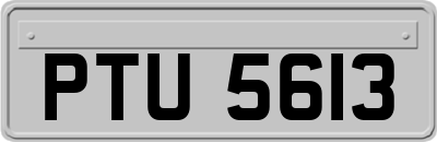 PTU5613