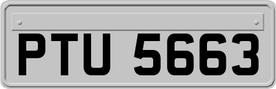 PTU5663