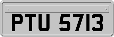 PTU5713