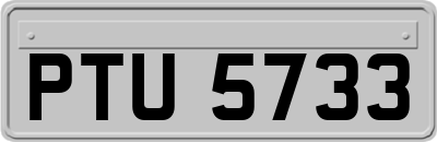 PTU5733