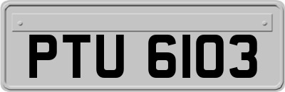 PTU6103