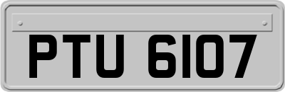 PTU6107