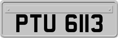 PTU6113