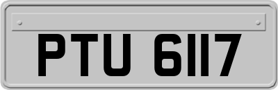 PTU6117
