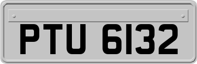 PTU6132