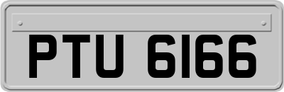 PTU6166