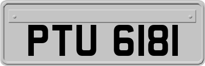 PTU6181