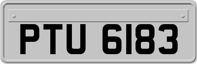 PTU6183