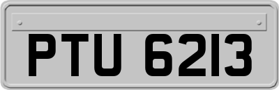 PTU6213