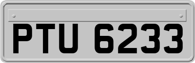 PTU6233