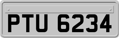 PTU6234