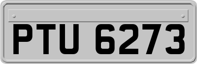 PTU6273