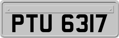 PTU6317