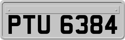 PTU6384