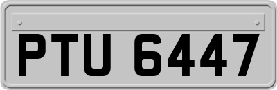 PTU6447