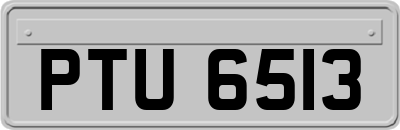 PTU6513