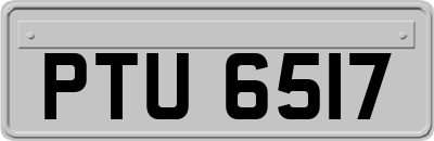 PTU6517