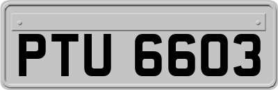 PTU6603